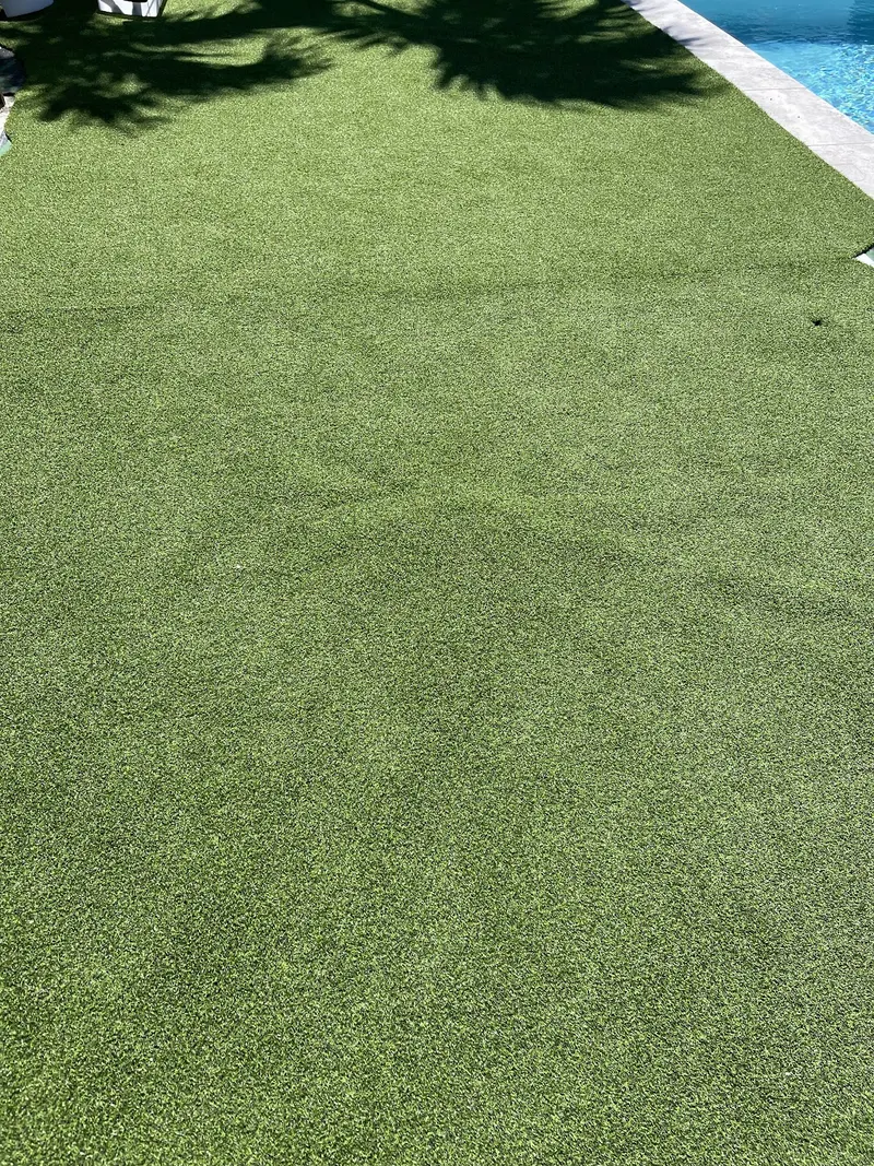 Full-sun turf surface beside a pool deck