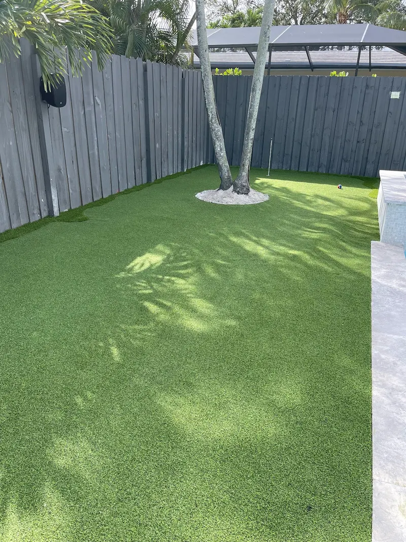 The same backyard after: turf around the palms beside the pool