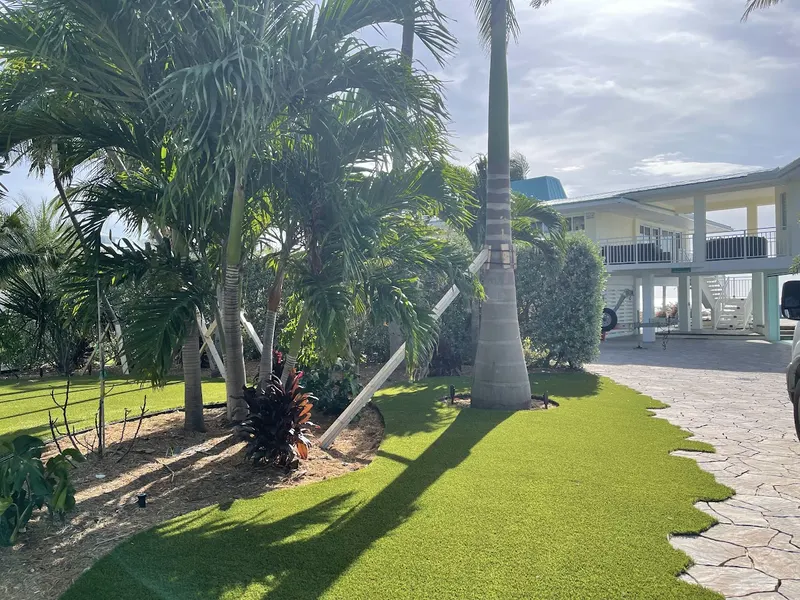 Turf lawn meeting a stone paver walkway under palms