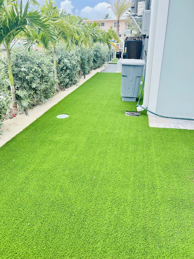 Bright turf side yard along a hedge