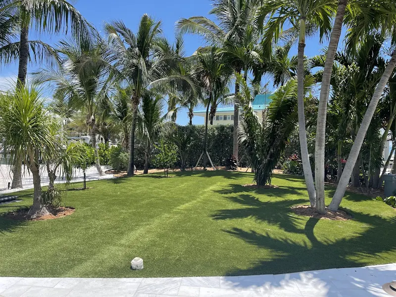 Open turf lawn under tall coconut palms