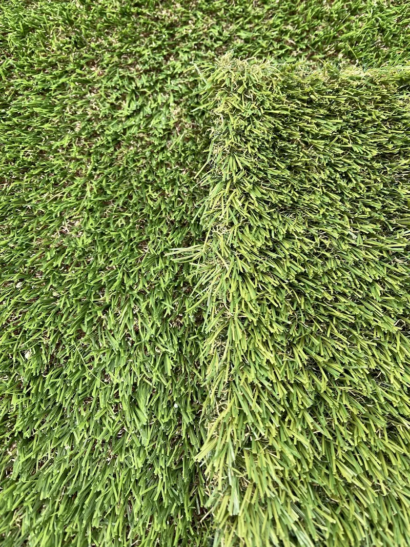 Close-up of turf blades in full sun