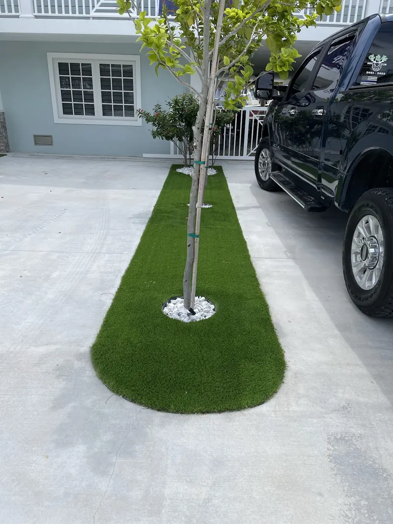 Turf island around a young tree in a concrete driveway