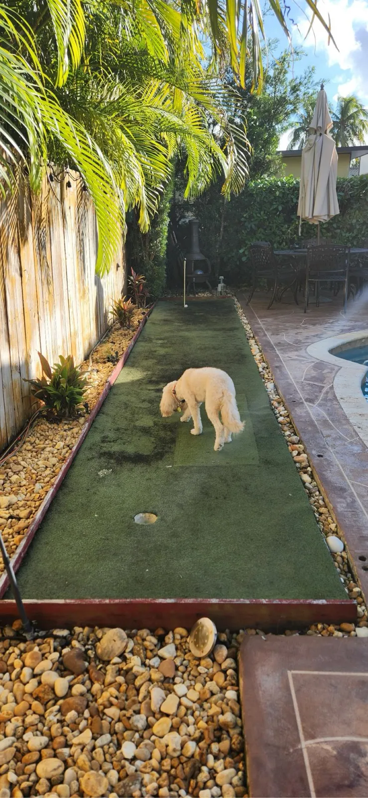A worn, matted putting green along a pool deck before the repair