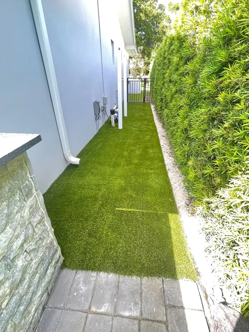 Finished: front yard lawn in Miami, FL, photo 2 of 3