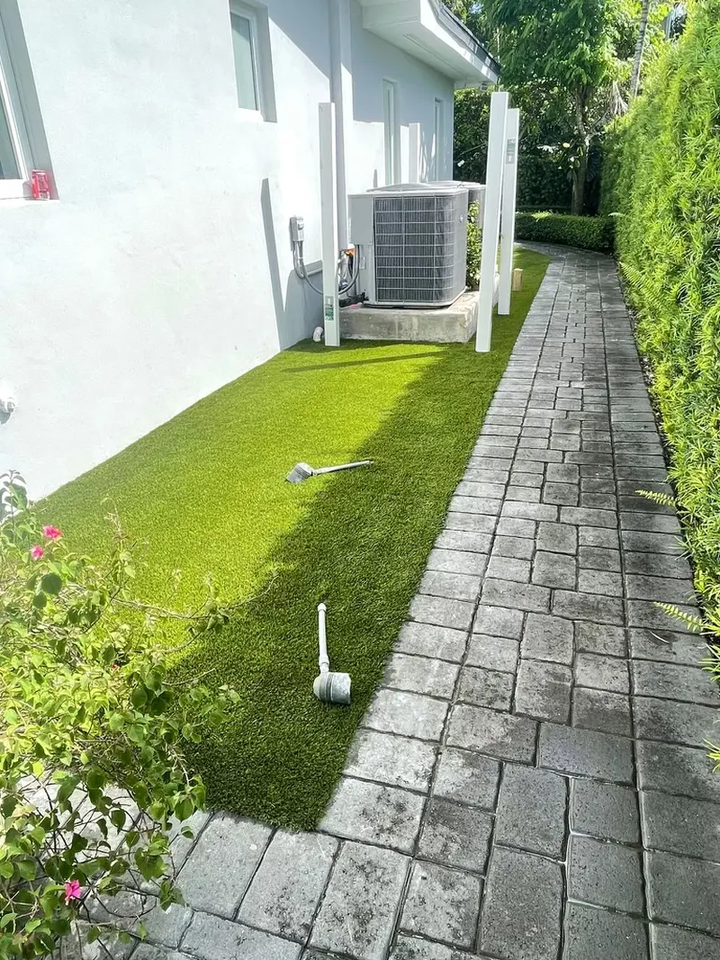Finished: front yard lawn in Miami, FL, photo 3 of 3
