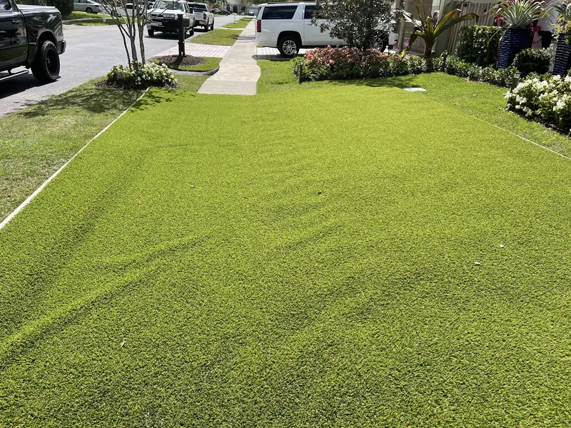 Finished: one-day lawn install in South Florida, photo 2 of 4