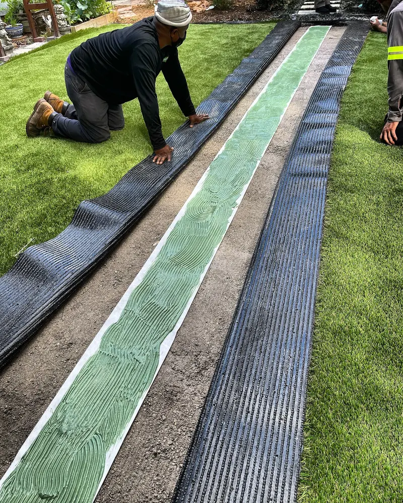 Finished · detail: one-day lawn install in South Florida, photo 4 of 4