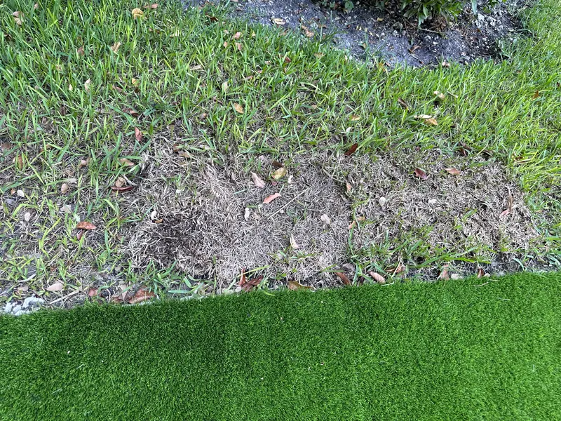 Finished · detail: backyard putting green in Pinecrest, FL, photo 7 of 7