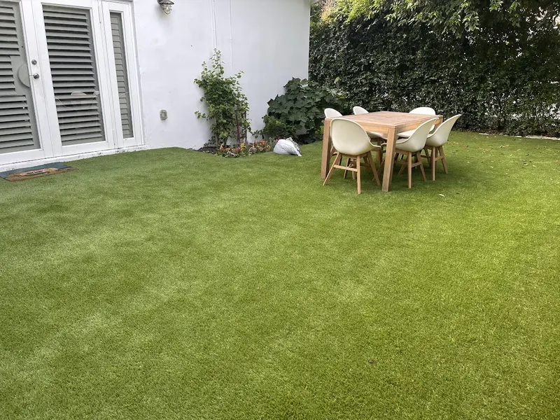 Finished: backyard lawn in Southwest Florida, photo 2 of 5
