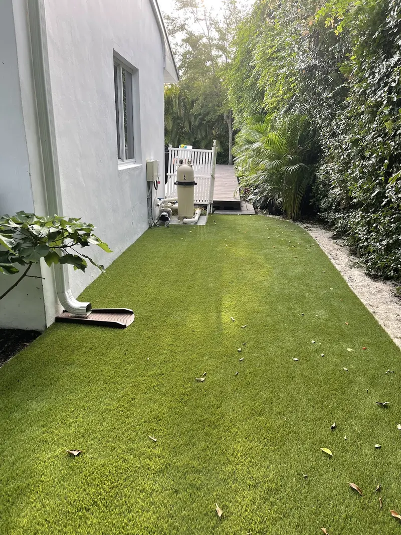 Finished: backyard lawn in Southwest Florida, photo 5 of 5